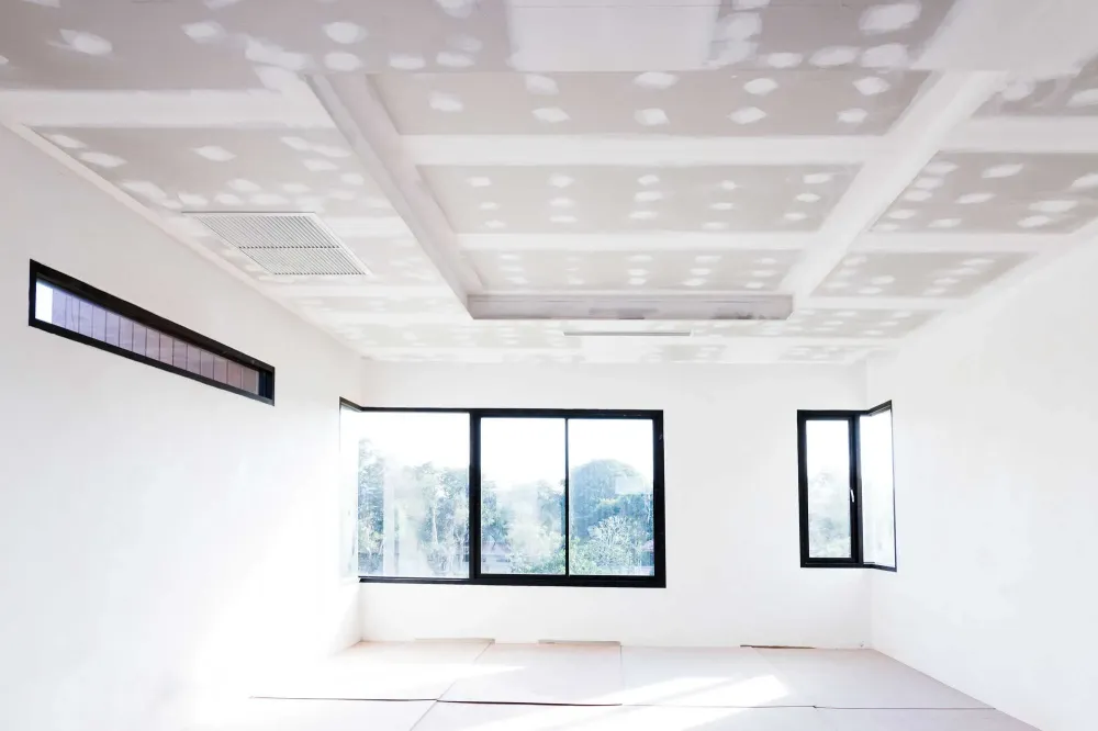 MCM Placo peinture (2)