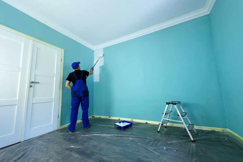 MCM Placo peinture (1)